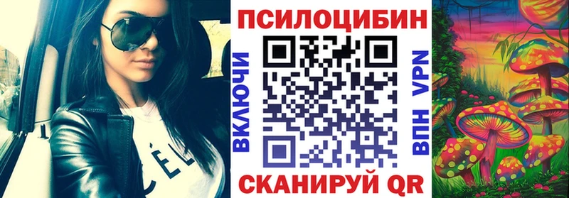 Псилоцибиновые грибы Psilocybe  купить закладку  mega зеркало  Велиж 